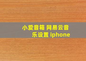 小爱音箱 网易云音乐设置 iphone